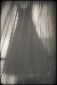 DSC_2636-2