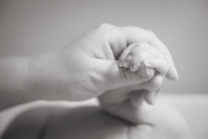 TheLifetimePhotographyClient73
